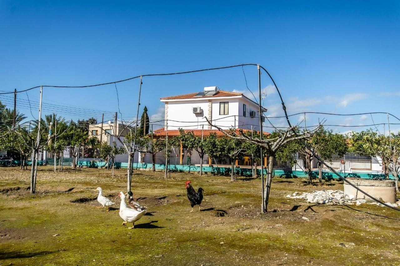 Reel Paradise Villa, Cyprus Larnaca Bagian luar foto
