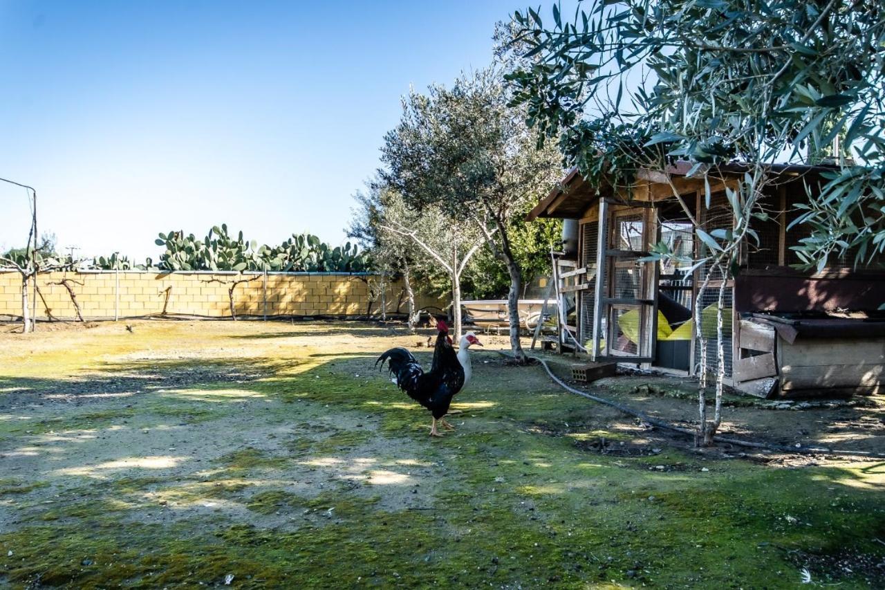 Reel Paradise Villa, Cyprus Larnaca Bagian luar foto